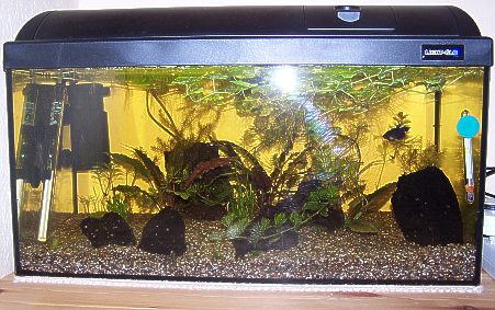 Weibchenbecken